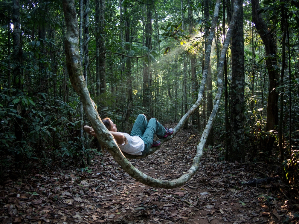 Toerist ontspant in een hangmat van lianen in het Amazonewoud tijdens een ecotour in Brazilië.