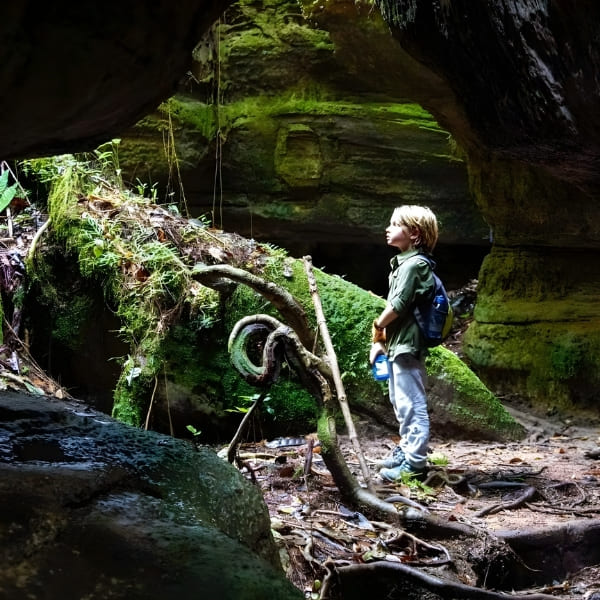 Jonge jongen verkent een bosgrot tijdens een familie avontuur in het Amazonewoud.
