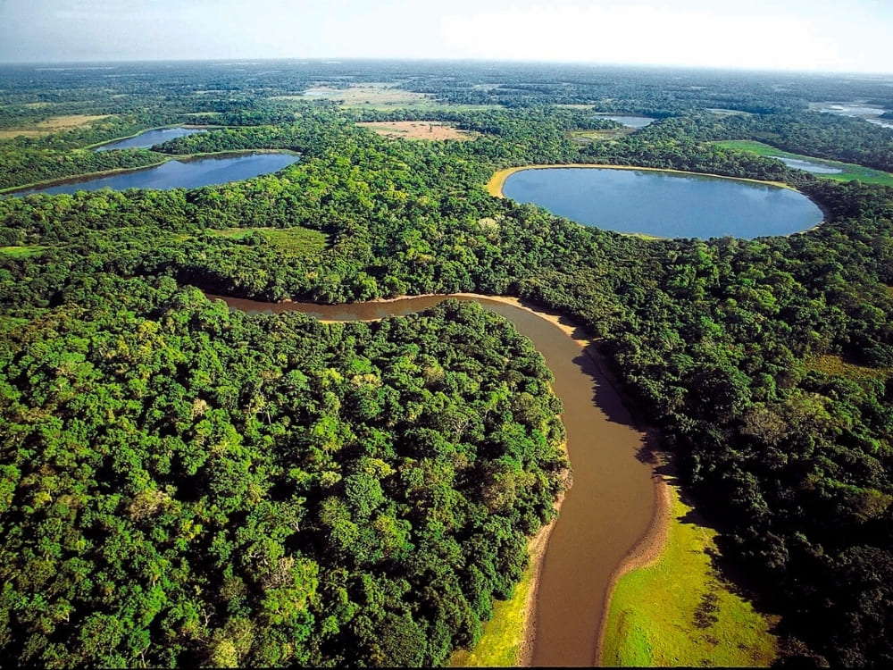 An aerial view features a muddy river winding through a vast green rainforest, with two distinct circular blue lakes nearby.