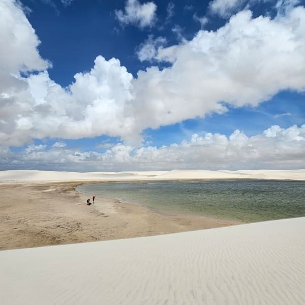 Vastes dunes de sable blanc et lagunes d'eau douce cristalline sous un ciel bleu aux Lençóis Maranhenses.